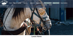 Desktop Screenshot of carthorse.org.za